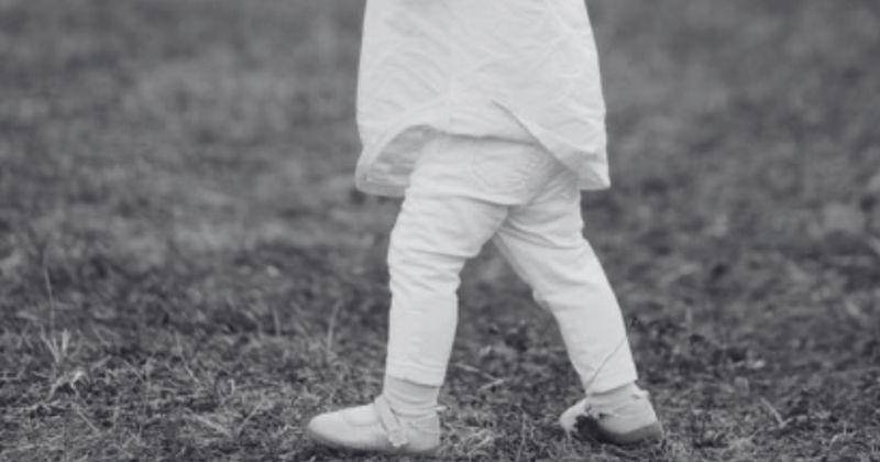 Freepik/bristekjegor